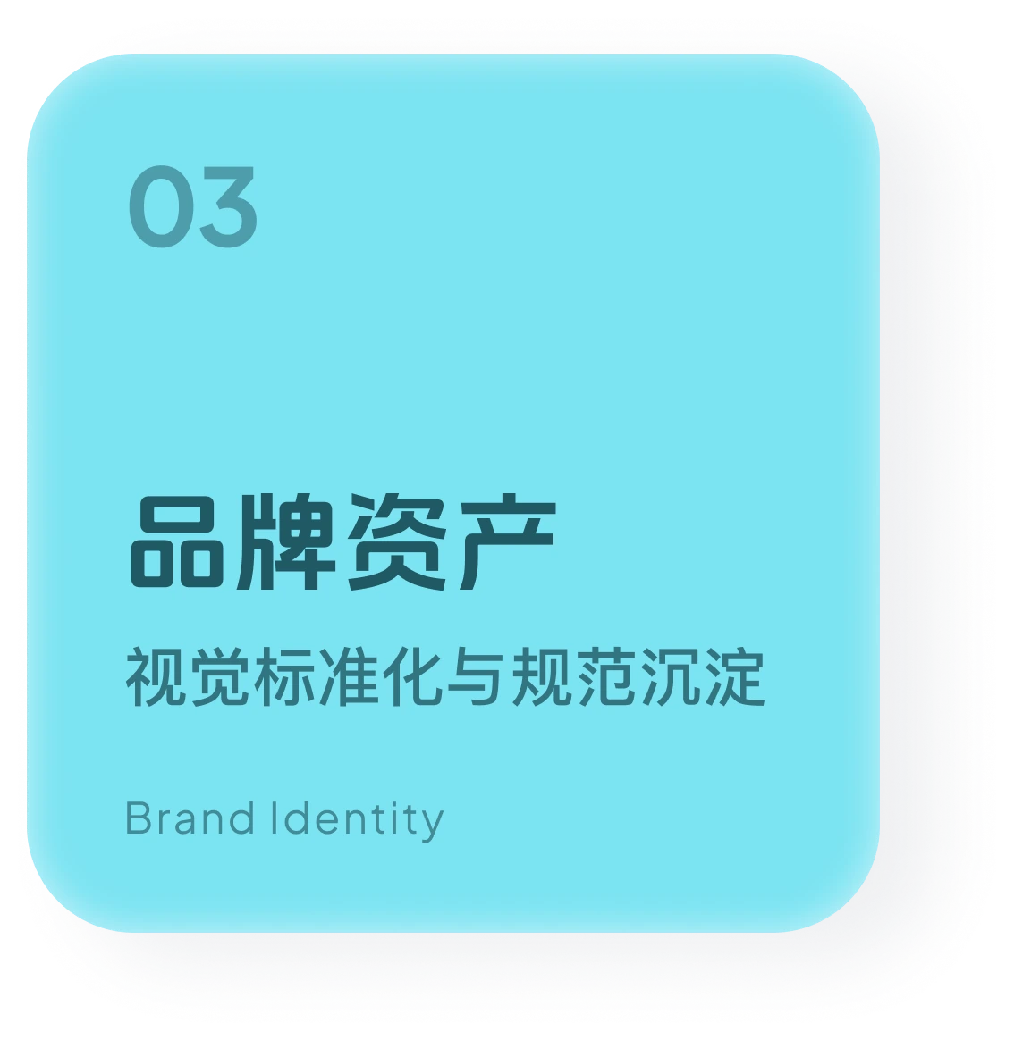 03 品牌资产 — Brand Identity